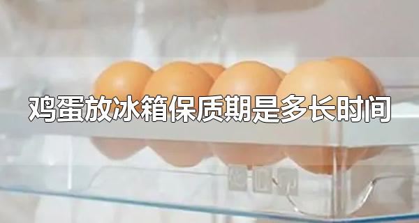 鸡蛋放冰箱保质期是多长时间 鸡蛋可以做成什么食物-思源网